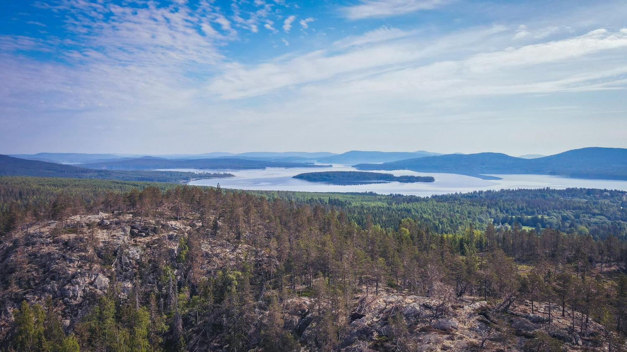 Sagverket Hoega Kusten Rö エクステリア 写真