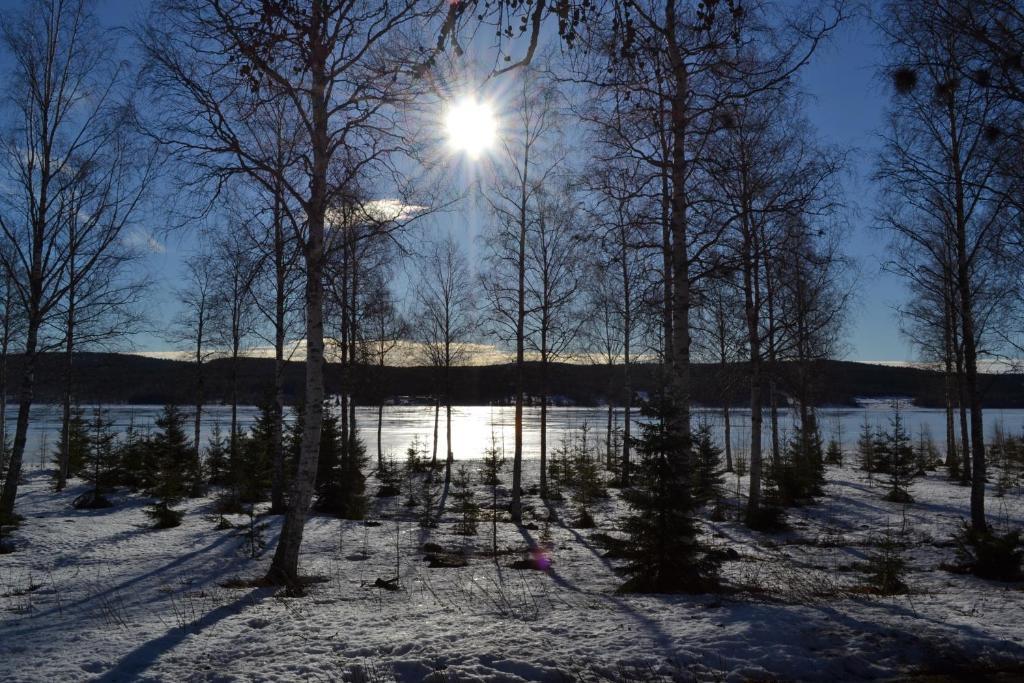 Sagverket Hoega Kusten Rö エクステリア 写真