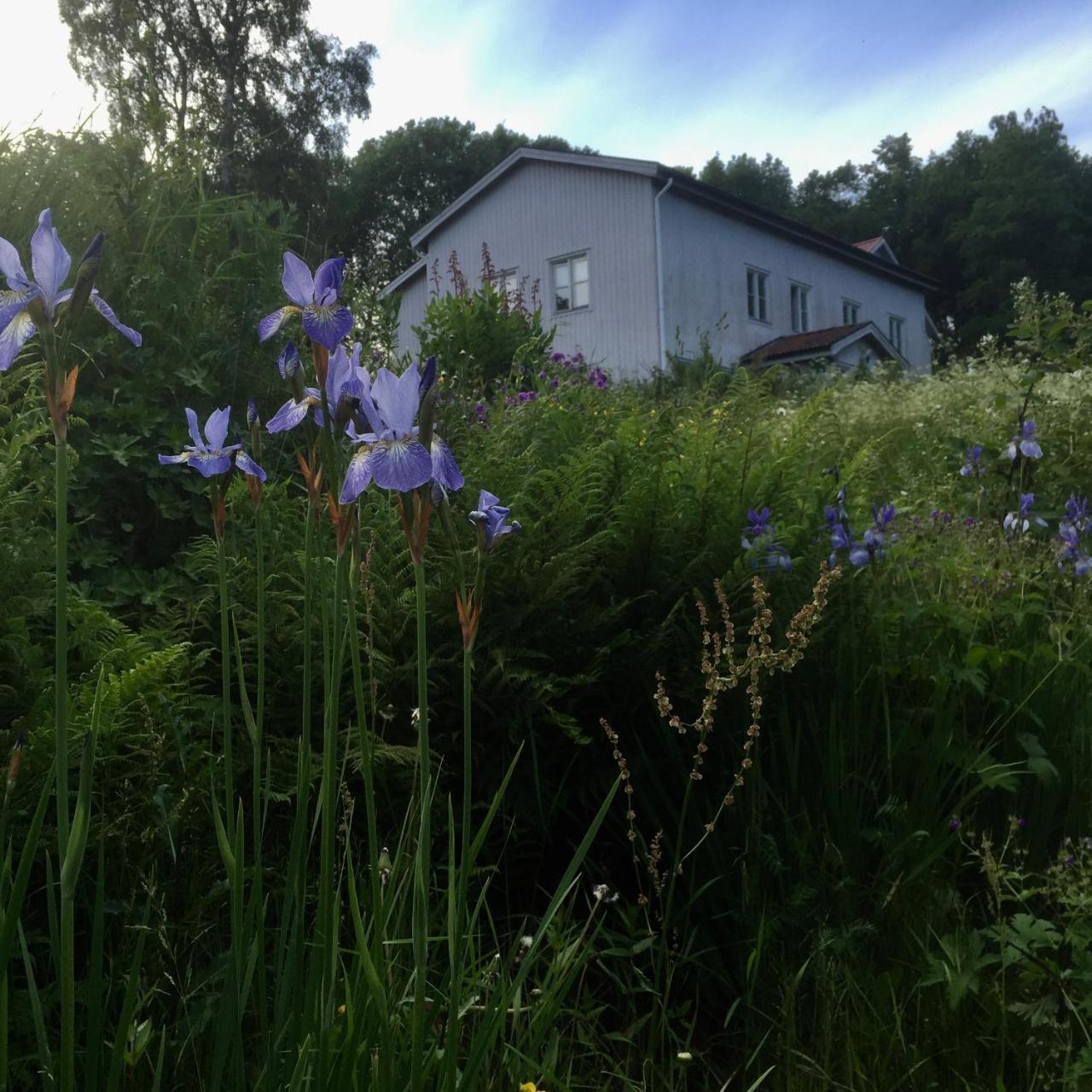 Sagverket Hoega Kusten Rö エクステリア 写真